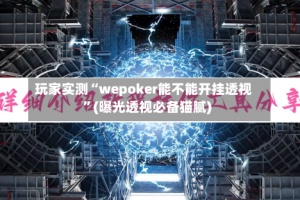 玩家实测“wepoker能不能开挂透视”(曝光透视必备猫腻)