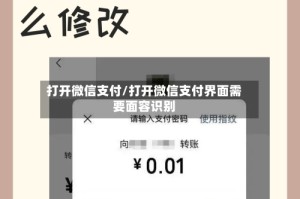 打开微信支付/打开微信支付界面需要面容识别
