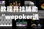 教程开挂辅助“wepoker透视辅助插件”(透视)开挂辅助脚本+详细开挂安装教程