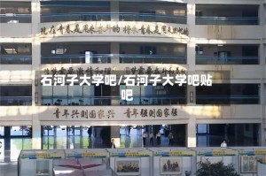 石河子大学吧/石河子大学吧贴吧