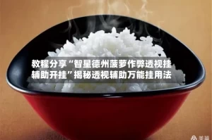 教程分享“智星德州菠萝作弊透视挂辅助开挂”揭秘透视辅助万能挂用法