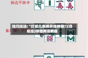 技巧玩法:“打哈儿麻将开挂神器”(透视挂)详细用法教程