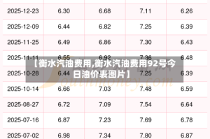 【衡水汽油费用,衡水汽油费用92号今日油价表图片】
