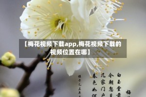 【梅花视频下载app,梅花视频下载的视频位置在哪】