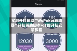 实测开挂辅助“WePoker辅助器”开挂辅助脚本+详细开挂安装教程