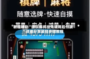 教程辅助“微乐麻将挂先试用后付款”详细分享装挂步骤教程