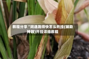 教程分享“闲逸跑得快怎么开挂(辅助神器)开挂详细教程