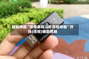 辅助神器“迅奇麻将斗牛开挂神器”开挂(透视)辅助教程