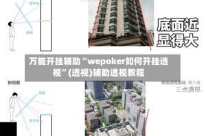 万能开挂辅助“wepoker如何开挂透视”(透视)辅助透视教程