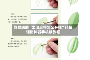 教程辅助“太浪麻将怎么开挂”科技辅助神器手机版教程