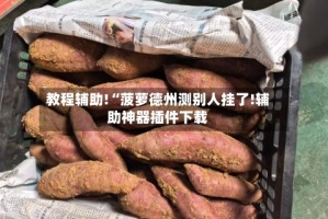 教程辅助!“菠萝德州测别人挂了!辅助神器插件下载