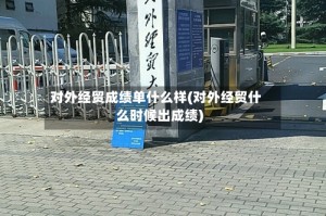 对外经贸成绩单什么样(对外经贸什么时候出成绩)