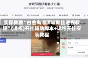 实操教程“白金岛湘潭辅助挂透视教程”(透视)开挂辅助脚本+详细开挂安装教程
