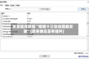 安装程序教程“嘟嘟十三张挂图解安装”(原来确实是有插件)