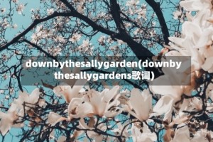 downbythesallygarden(downbythesallygardens歌词)