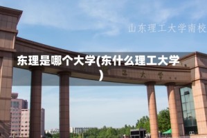 东理是哪个大学(东什么理工大学)