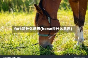 fork是什么意思(horse是什么意思)