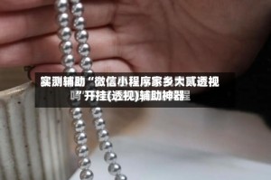 实测辅助“微信小程序家乡大贰透视”开挂(透视)辅助神器