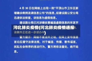 河北肺炎疫情(河北肺炎疫情通报)