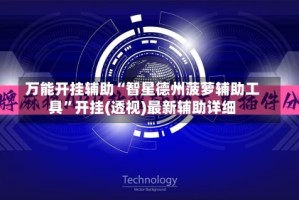 万能开挂辅助“智星德州菠萝辅助工具”开挂(透视)最新辅助详细
