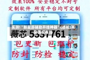 实测!“新星游辅助开挂神器”(透视)其实确实有挂
