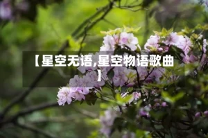 【星空无语,星空物语歌曲】