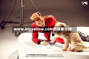 www.bigyellow.com的简单介绍