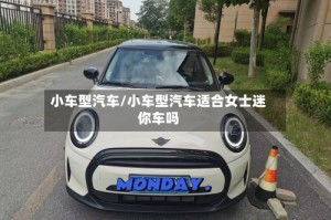 小车型汽车/小车型汽车适合女士迷你车吗