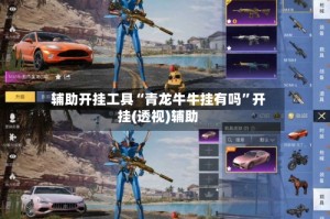 辅助开挂工具“青龙牛牛挂有吗”开挂(透视)辅助