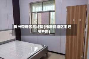 株洲荷塘区毛坯房(株洲荷塘区毛坯房费用)