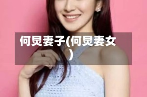 何炅妻子(何炅妻女)
