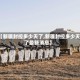 【新疆封控多少天了,新疆封控多少天了最新消息】
