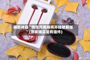 辅助神器“微乐河南麻将开挂破解版”(原来确实是有插件)