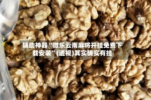 辅助神器“微乐云南麻将开挂免费下载安装”(透视)其实确实有挂