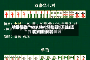 秒懂经验“WEpoker辅助器”开挂(透视)辅助神器