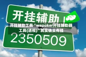 开挂辅助工具“wepoker开挂辅助器工具(透视)”其实确实有挂