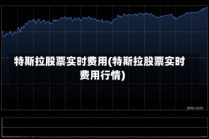 特斯拉股票实时费用(特斯拉股票实时费用行情)