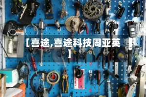 【喜途,喜途科技周亚英】