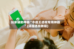 玩家辅助神器“牛魔王透视专用神器”(详细透视教程)