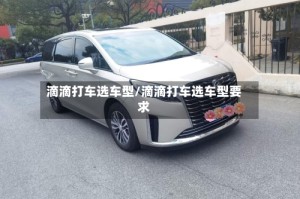 滴滴打车选车型/滴滴打车选车型要求