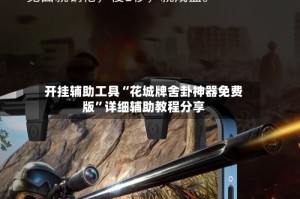 开挂辅助工具“花城牌舍卦神器免费版”详细辅助教程分享