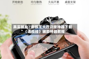 真实辅助“新猴王大厅开挂神器下载”（透视挂）辅助神器教程