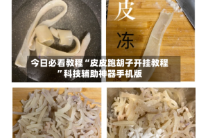 今日必看教程“皮皮跑胡子开挂教程”科技辅助神器手机版