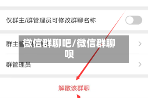 微信群聊吧/微信群聊呗