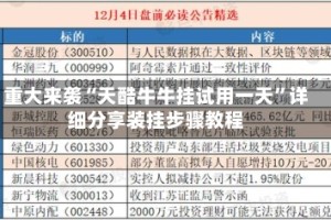 重大来袭“天酷牛牛挂试用一天”详细分享装挂步骤教程