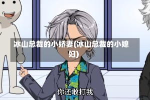 冰山总裁的小娇妻(冰山总裁的小媳妇)