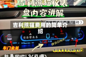 吉利熊猫费用的简单介绍