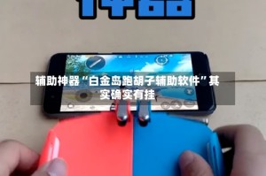 辅助神器“白金岛跑胡子辅助软件”其实确实有挂