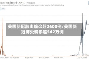 美国新冠肺炎确诊超2600例/美国新冠肺炎确诊超542万例