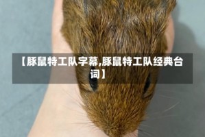 【豚鼠特工队字幕,豚鼠特工队经典台词】